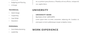 CV / Resume
